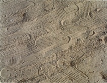 Allora and Calzadilla: Land Mark (Footprints) 8, 2001