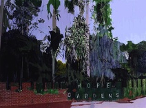 Hurvin Anderson: Hope Gardens, 2005